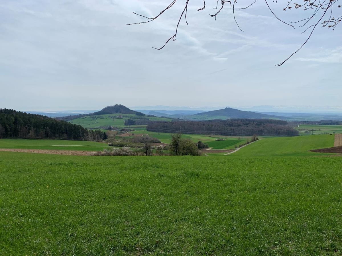 Ferienwohnung Im Glockenziel Engen Luaran gambar